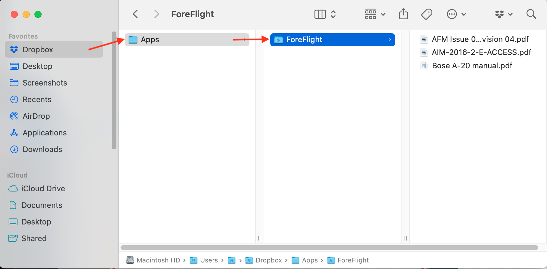 DropBox Pathway.png