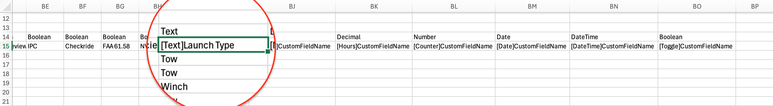 Custom Fields.png