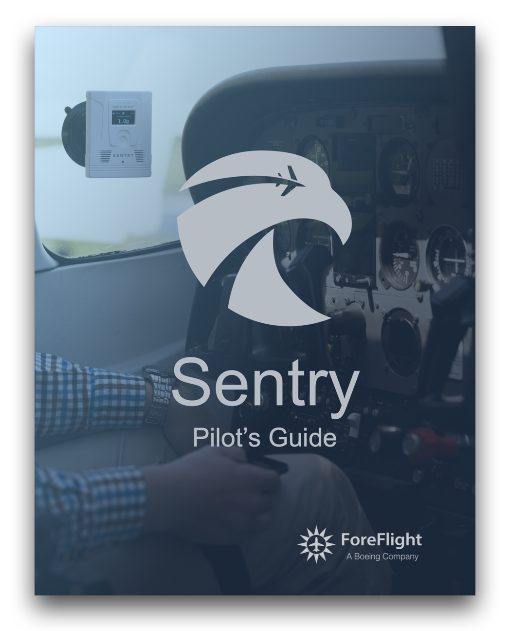 Sentry_Cover_Page.png